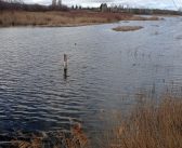 NIVEL DEL ACUÍFERO 23, a fecha de 31 de enero 26