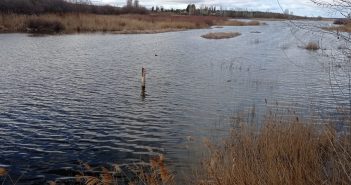 NIVEL DEL ACUÍFERO 23, a fecha de 31 de enero 26