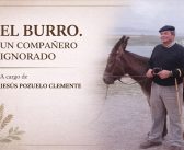 AUNQUE ESTO LO PAREZCA, NO ES UNA BORRIQUERÍA…