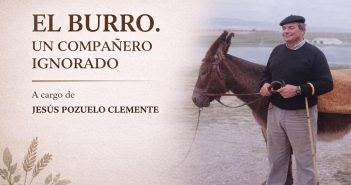 AUNQUE ESTO LO PAREZCA, NO ES UNA BORRIQUERÍA…