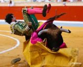 LOS PUNTOS SOBRE LAS IES