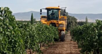 NIVEL DEL ACUÍFERO 23 A FECHA DE 31 DE JULIO DE 2026