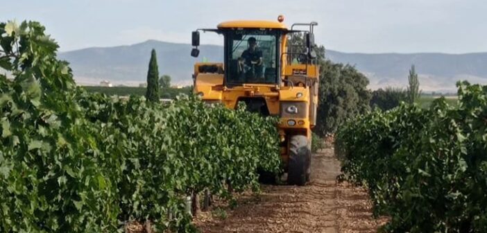 NIVEL DEL ACUÍFERO 23 A FECHA DE 31 DE JULIO DE 2026