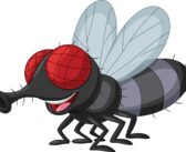 LA PUTA MOSCA