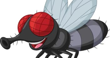 LA PUTA MOSCA
