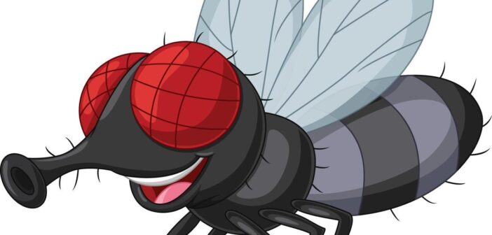 LA PUTA MOSCA